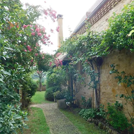 Maison Dans La Cite Medievale De * 多姆